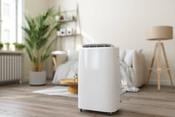 Best Air Quality Test  in Dimondale, MI